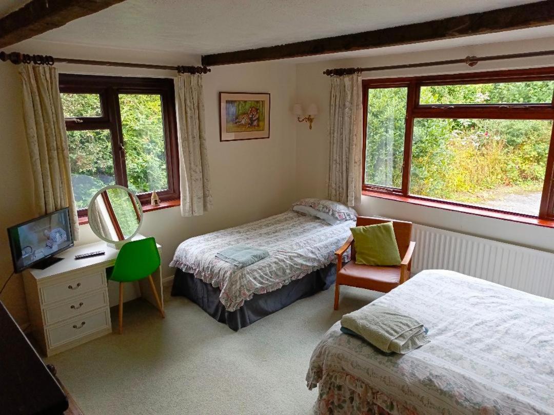 Echoes Homestay *